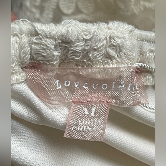 NWT Bohme Off shoulder eyelet lace ivory maxi dress - Picture 4 of 6